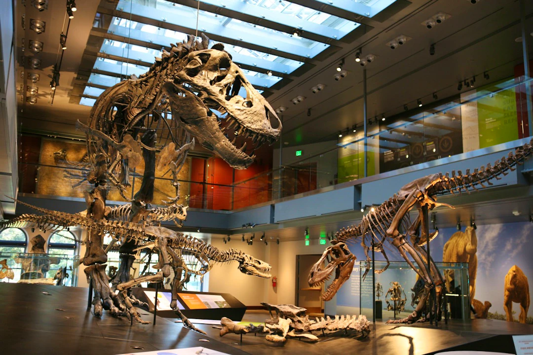 Go City Los Angeles All-Inclusive Pass: Save up to 50% on Attractions